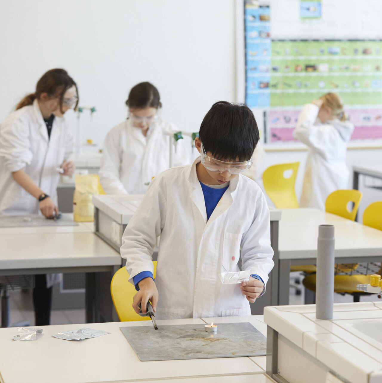 Copyright: Educational Lab