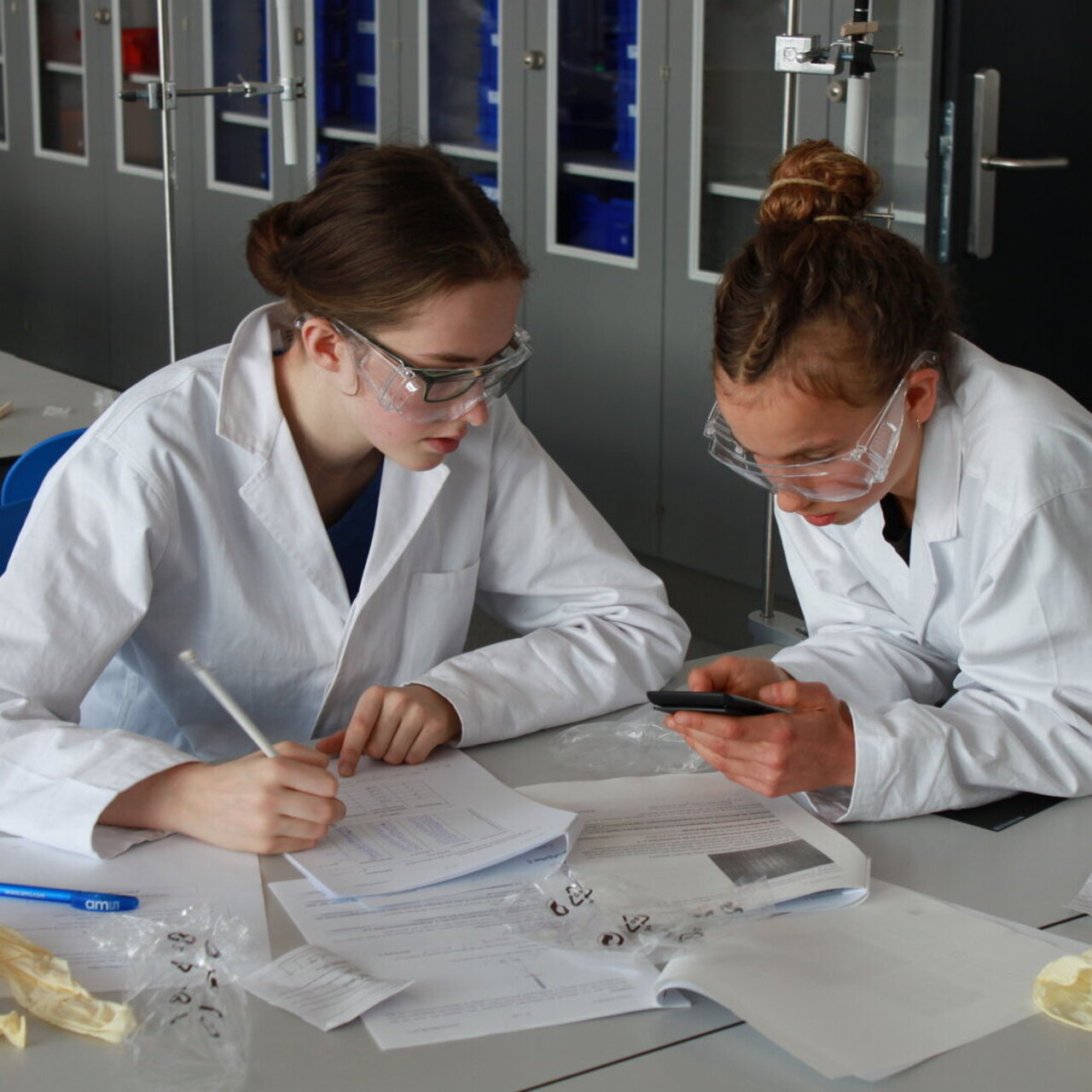 Copyright: Educational Lab