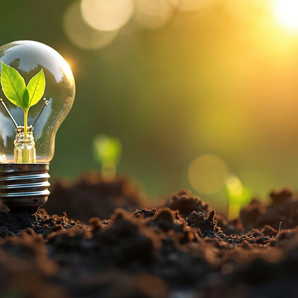 Green energy light bulb. Sprout plant grows in lightbulb on soil ground. Eco energy environment protection. Earth Day concept shows natural power saves world.