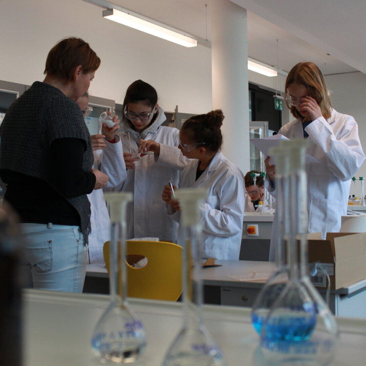 Copyright: Educational Lab